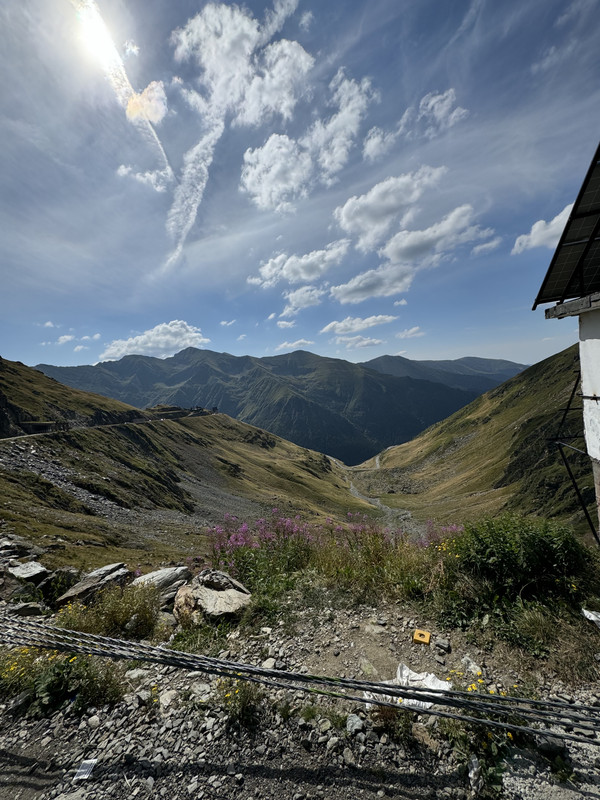 IMG_2240