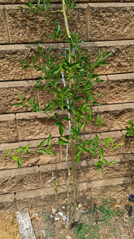20230611_125954_HDR