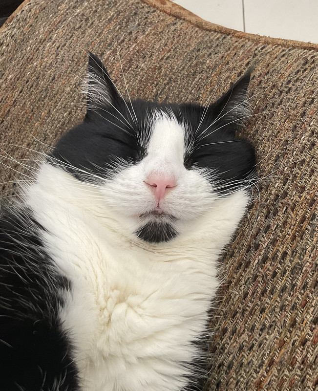 475E2ECD-2F7E-44FF-B5E2-7986FDE30187