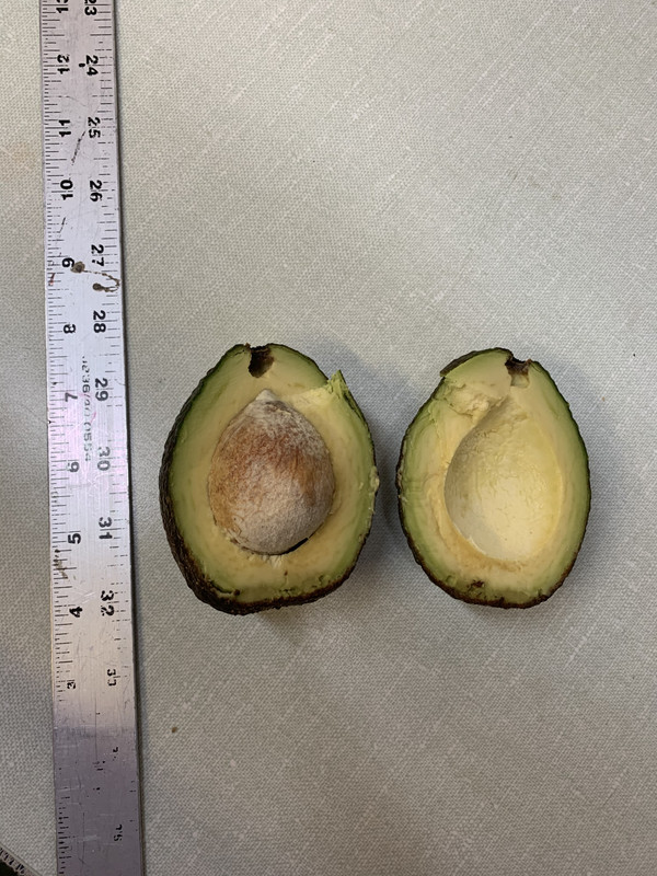 6D9416F1-F9E8-4920-B2AB-8E0DCB59F3F9