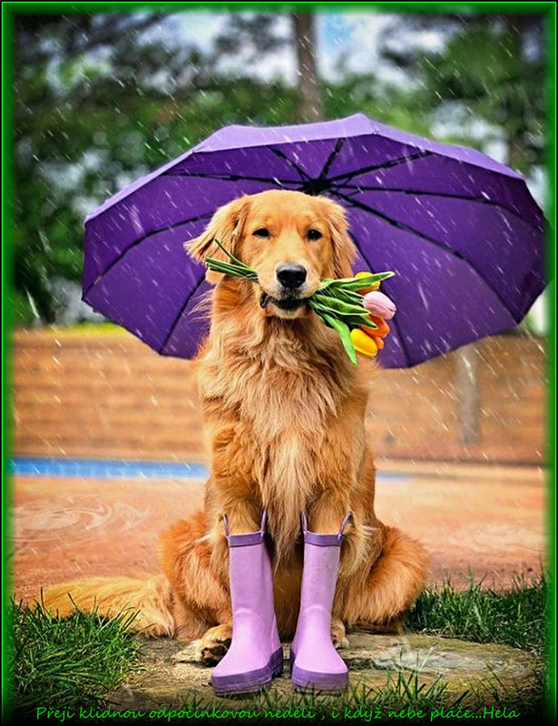 neděleprší6.8.2023úpr