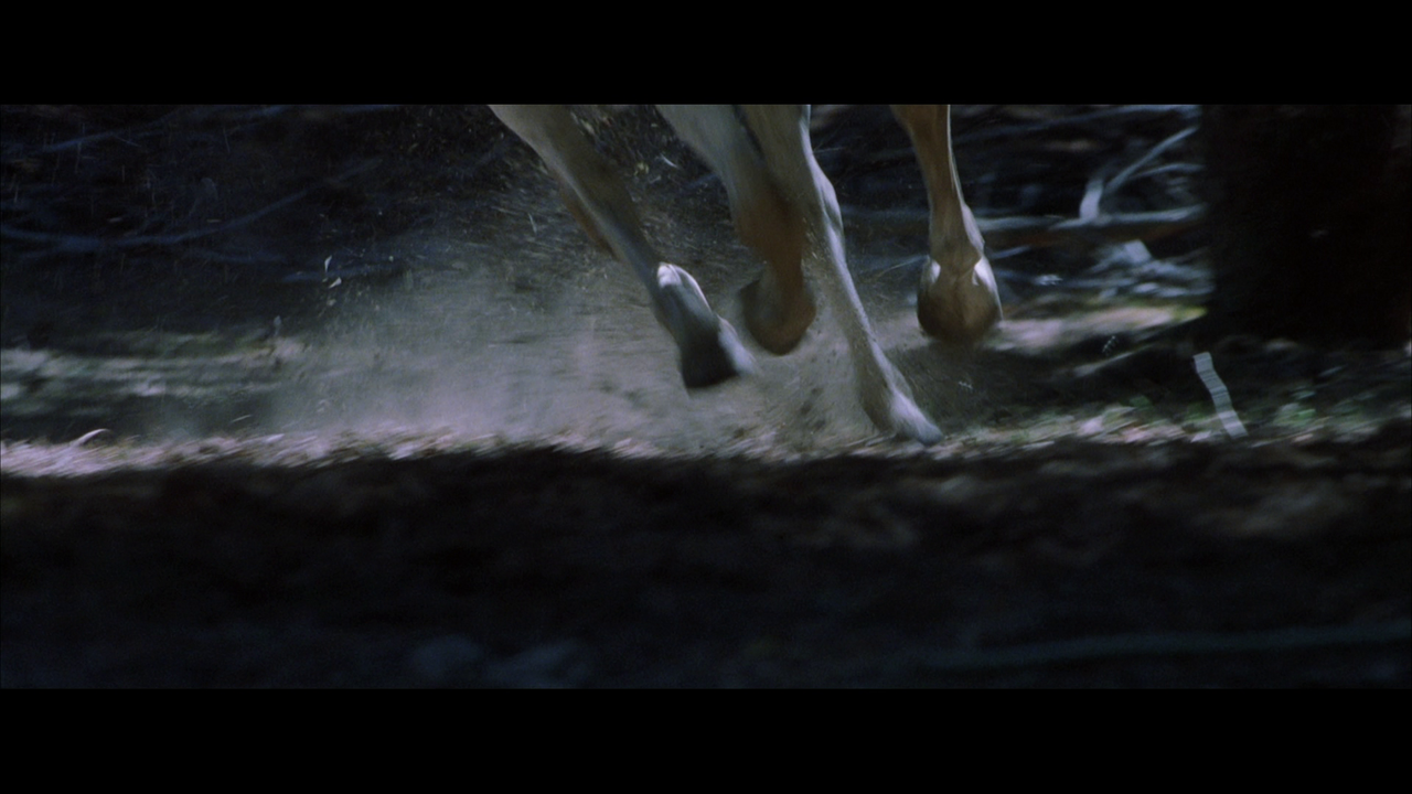 vlcsnap-2022-06-06-21h46m32s060