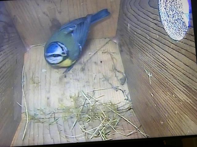 5A6B2BC1-A1BE-4811-975D-293CEA1717AA