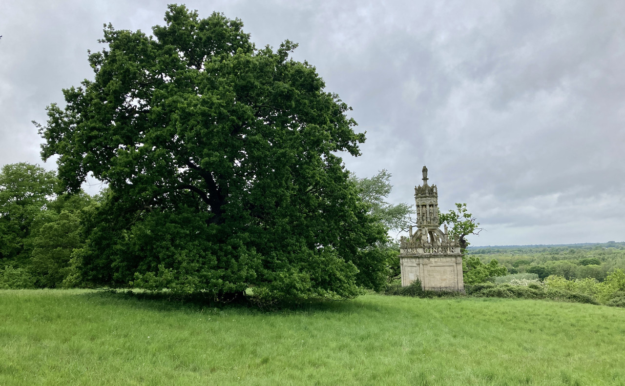 5CCFB05F-DF45-4B0F-B3F3-16186CAE9EA5