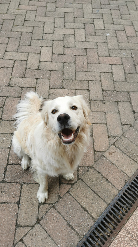 5624E5B2-CC6D-4B21-BA34-12CEF9AFE5F2