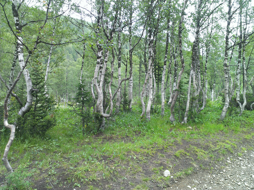 IMAG0494