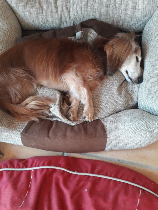 [Image: IMG-20240604-204618.jpg]