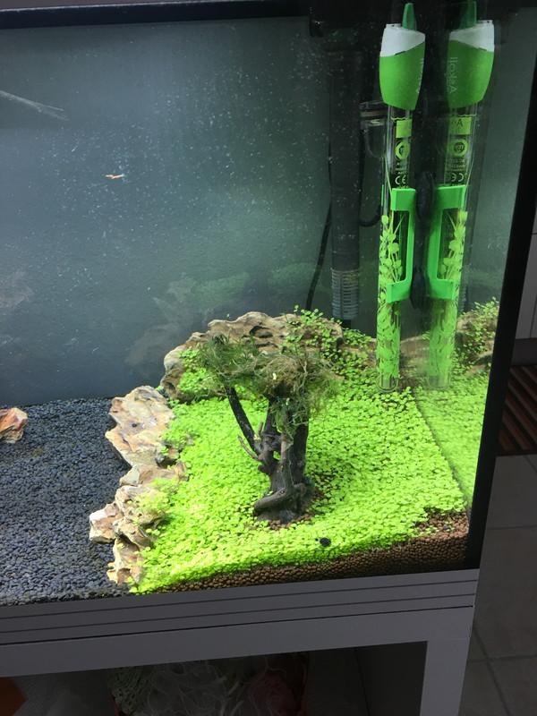 7F359046-60FB-41B5-9A4C-AFA2EE772F34