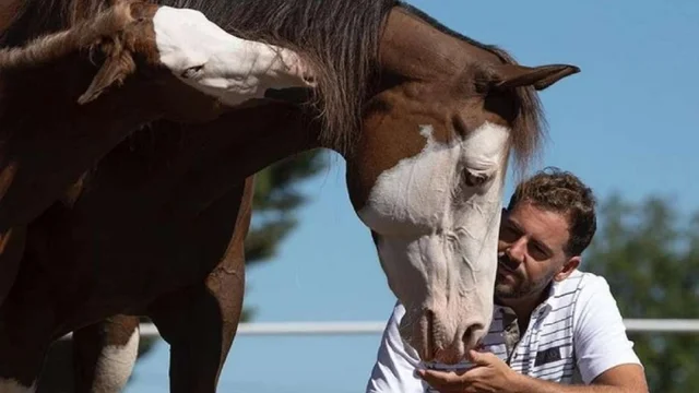 EL DOCUMENTAL “HERMANO CABALLO”, DE MARCEL BARRENA, LLEGARÁ A LOS CINES ESTE AÑO