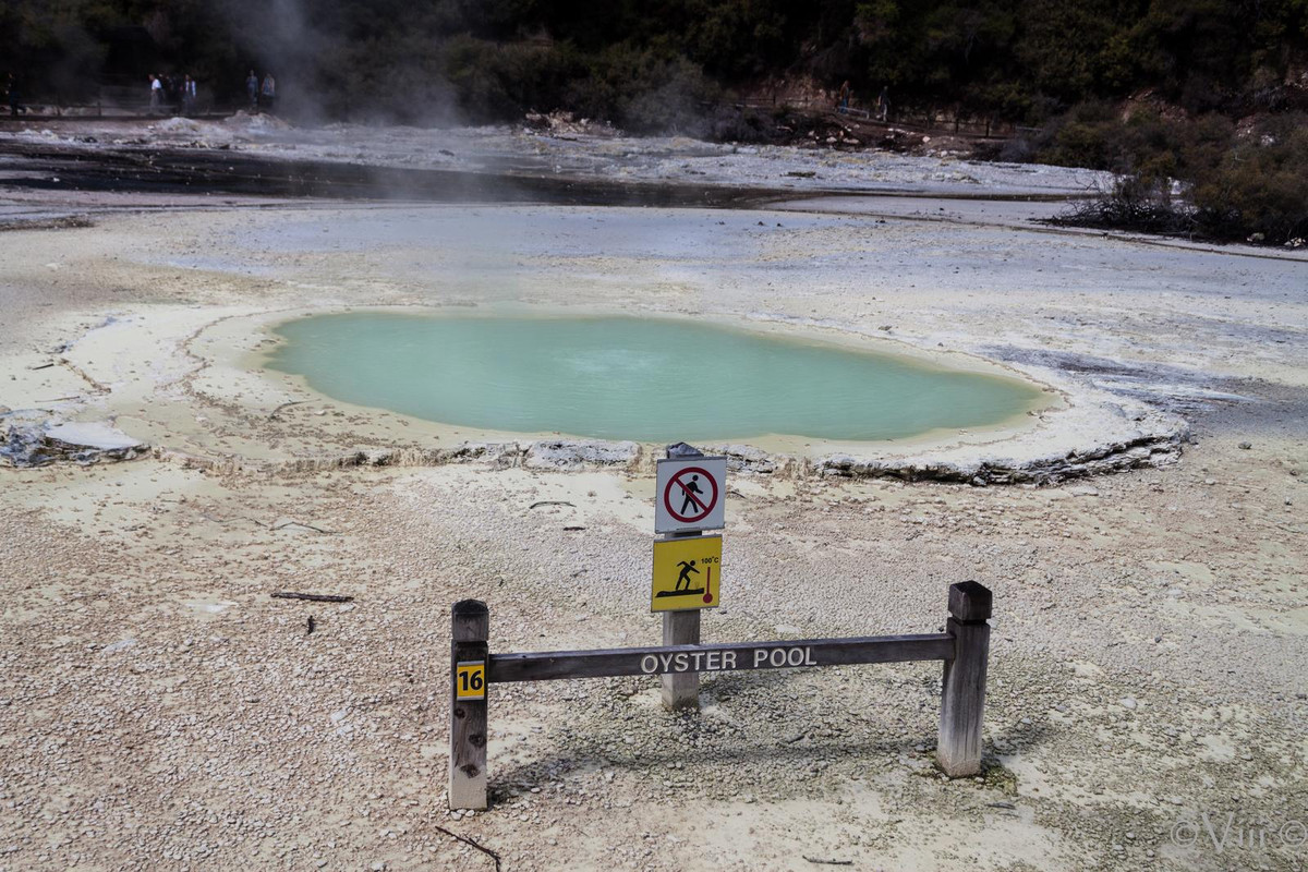 Nueva Zelanda/Islas Cook - Viaje de novios a la Tierra Media - Blogs de Nueva Zelanda - Día 3. Wai O Tapu & lago Taupo. Noche en PN Tongariro (4)