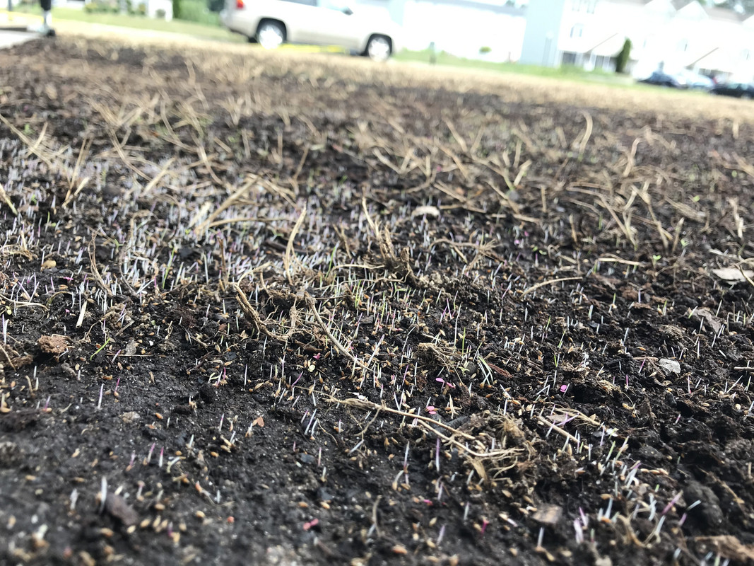 BE7E7630-284D-49B9-BA30-B25466F98991