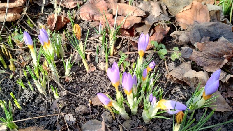 изображение_viber_2025-02-02_14-37-38-760