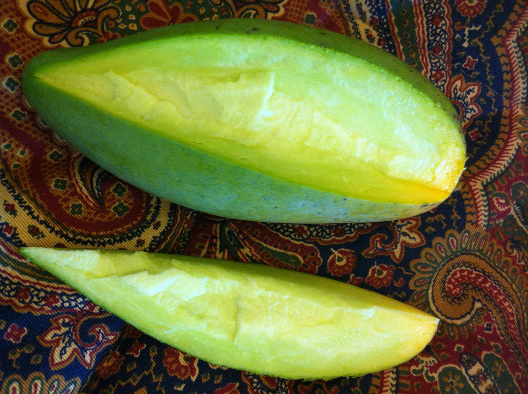 E0F04089-F45E-4636-9938-DCF1BAA32A10