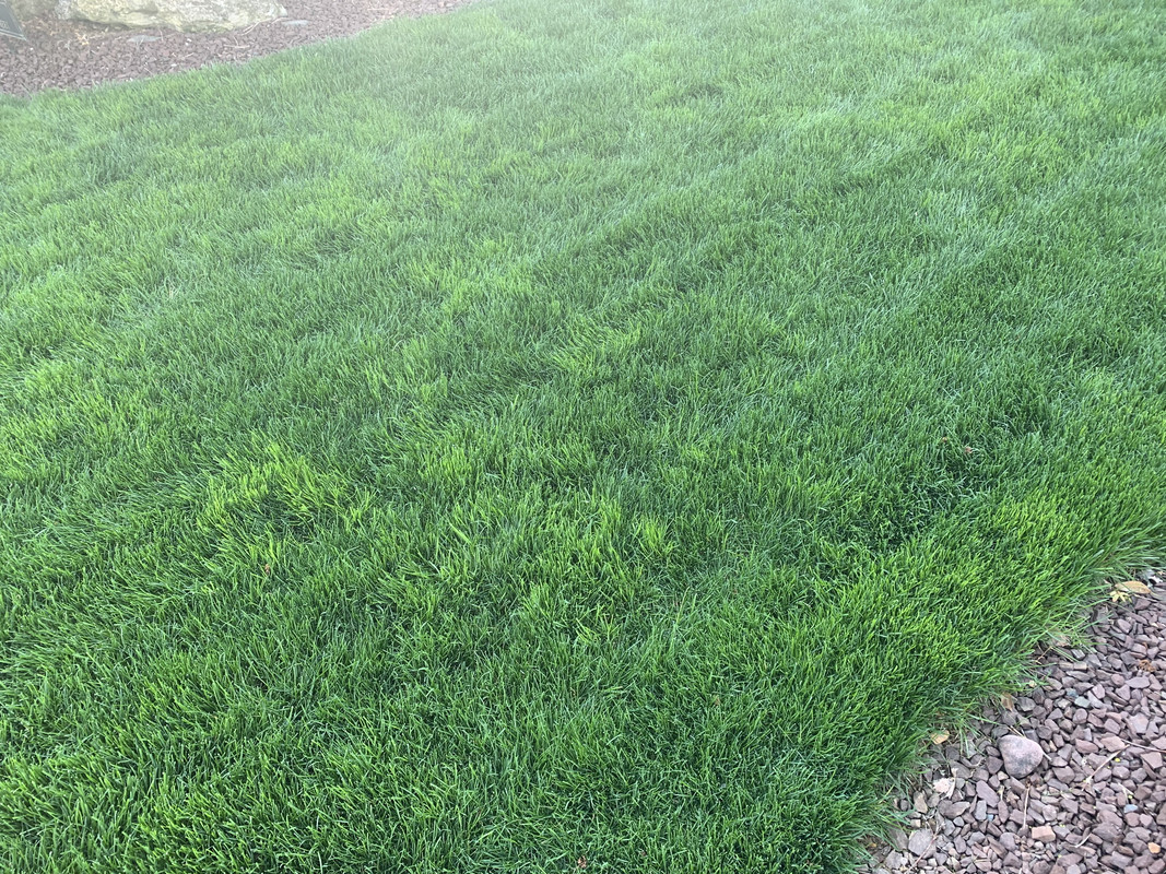 EB08338D-4A12-4A93-959C-A396FBB61FB8