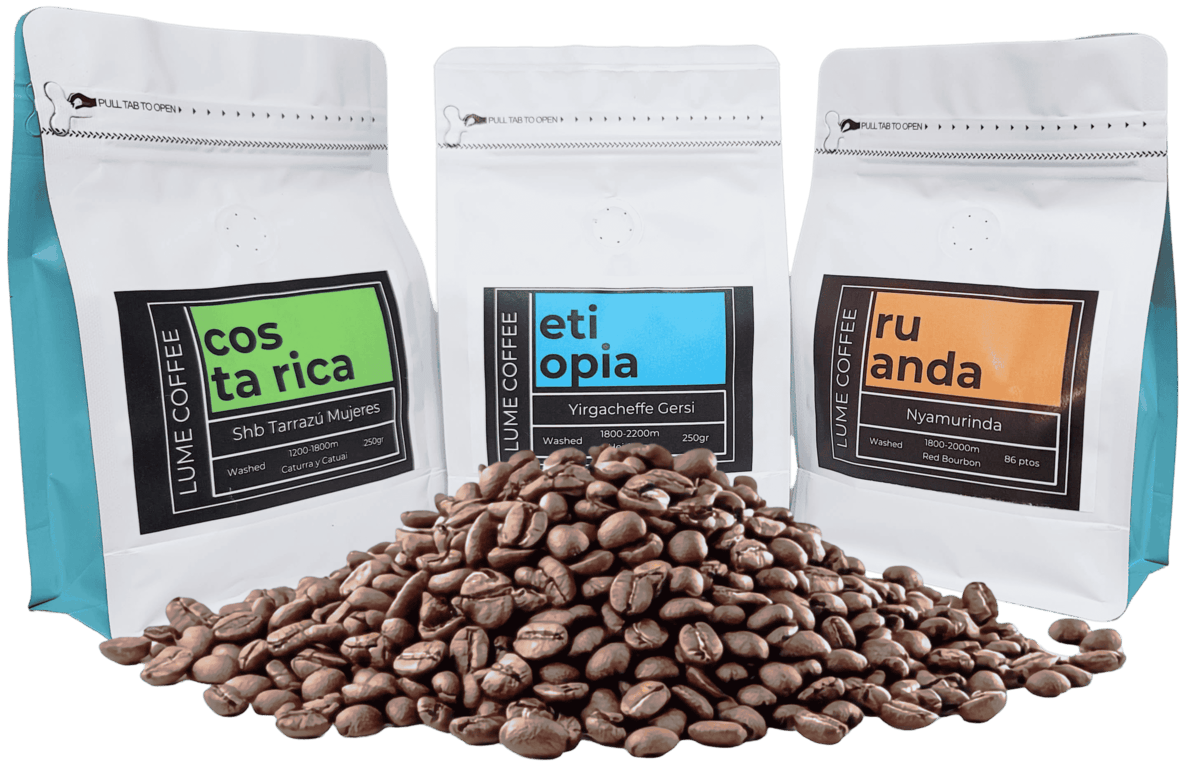 cafe especialidad bolsas granos de cafe