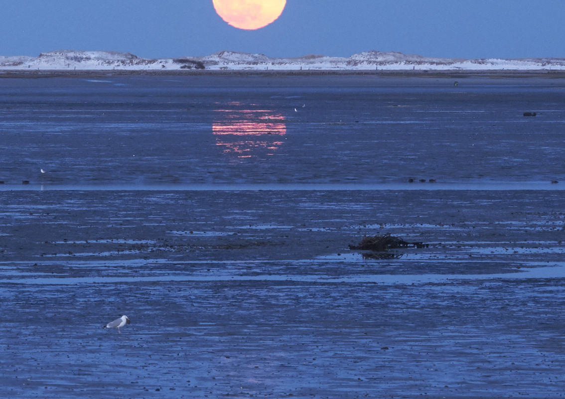 2_19_19_moon 3