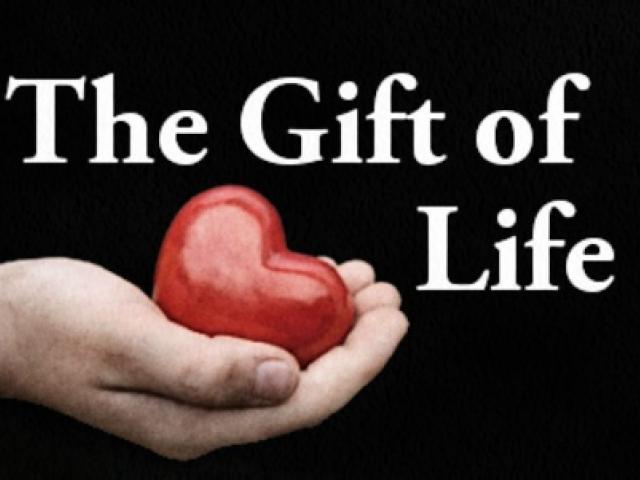 Gift of Life (@GiftofLife) / Twitter