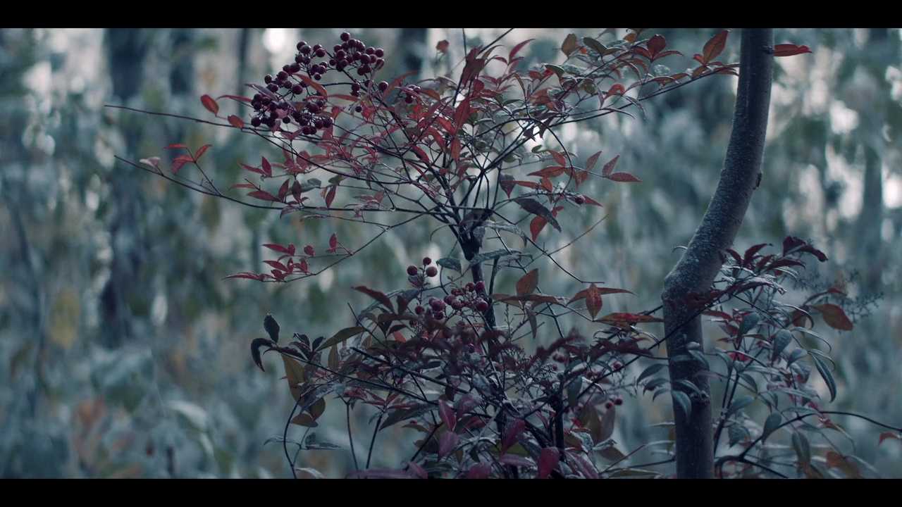 The Witcher (2019) S01E02 Four Marks (1080p NF Webrip x265 10bit EAC3 5.1 Atmos - Goki)