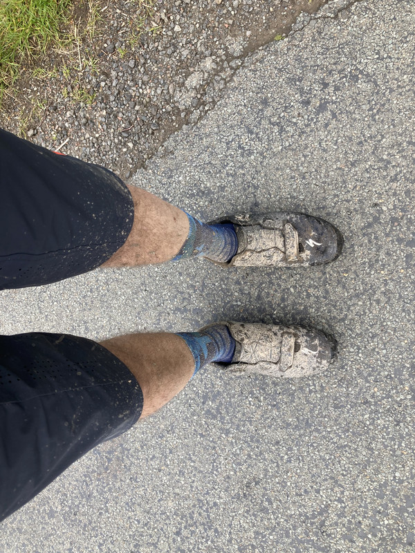 D36E64C4-7B1E-45CB-A33B-4F6BAC8853CA