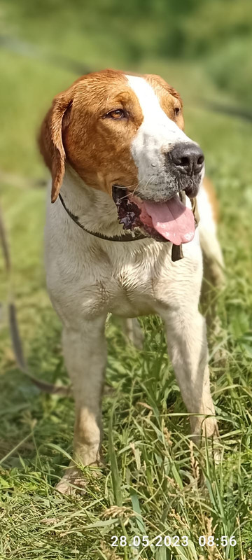 Фото Бурана Портрет