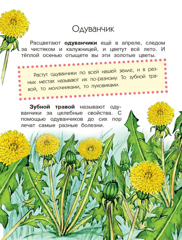 Onegov-Anatolij-Pochemu-kukushka-slozki-lot-page-0009