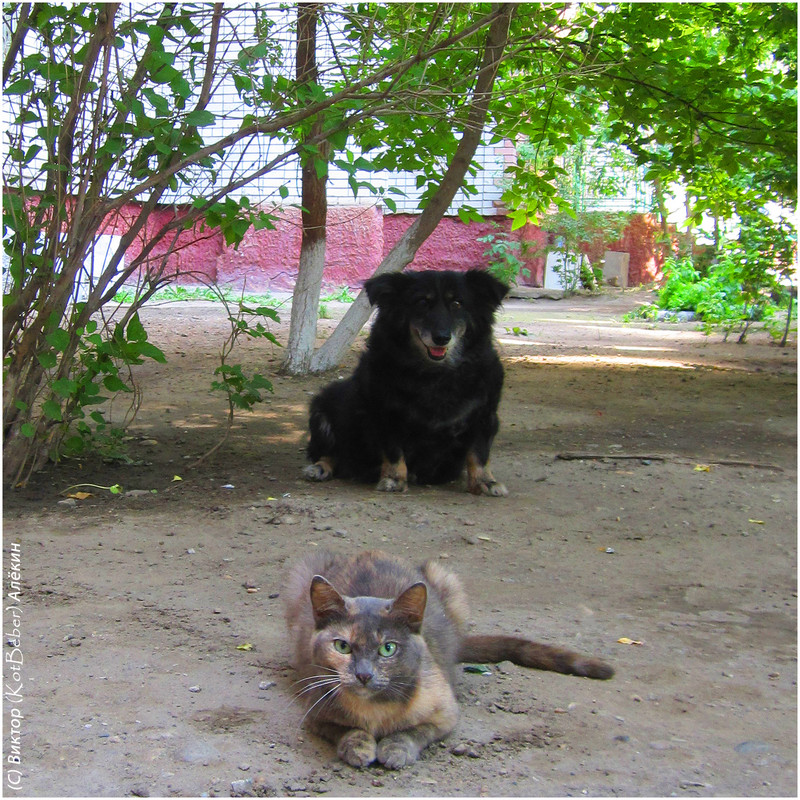 IMG-4966-2015
