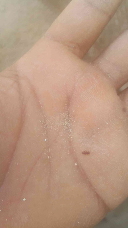 ٢?١٨?٩?١_١٤٥٩٢٦