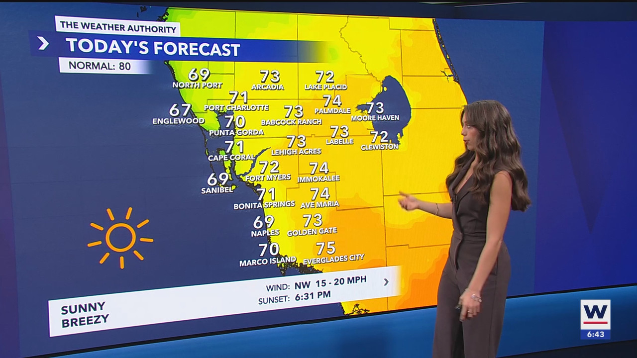 WINK News at 630am_20250306_11301200.ts_snapshot_14.45.407