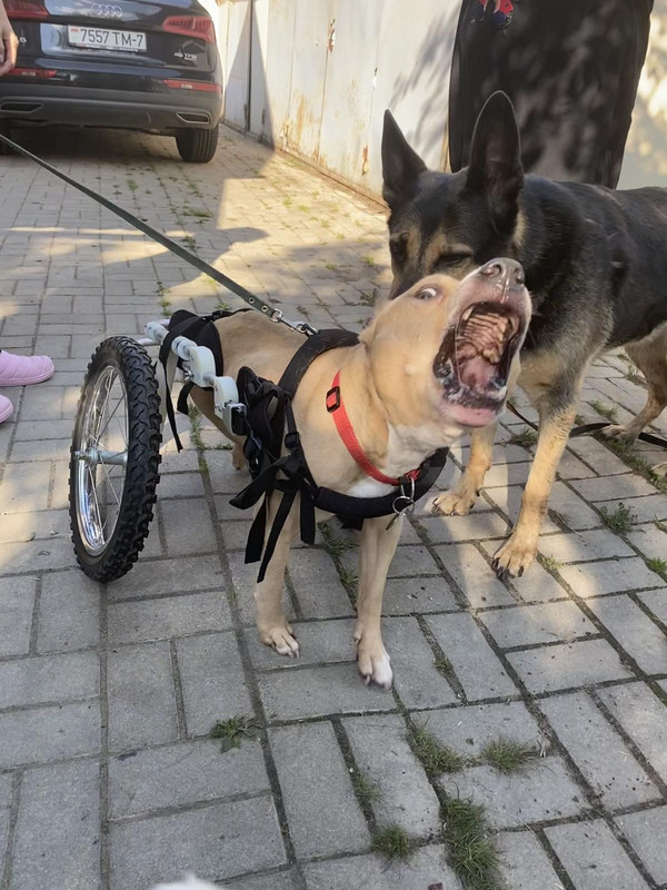 A9E976D9-A0D4-4F73-93BC-8AE3C12F1946