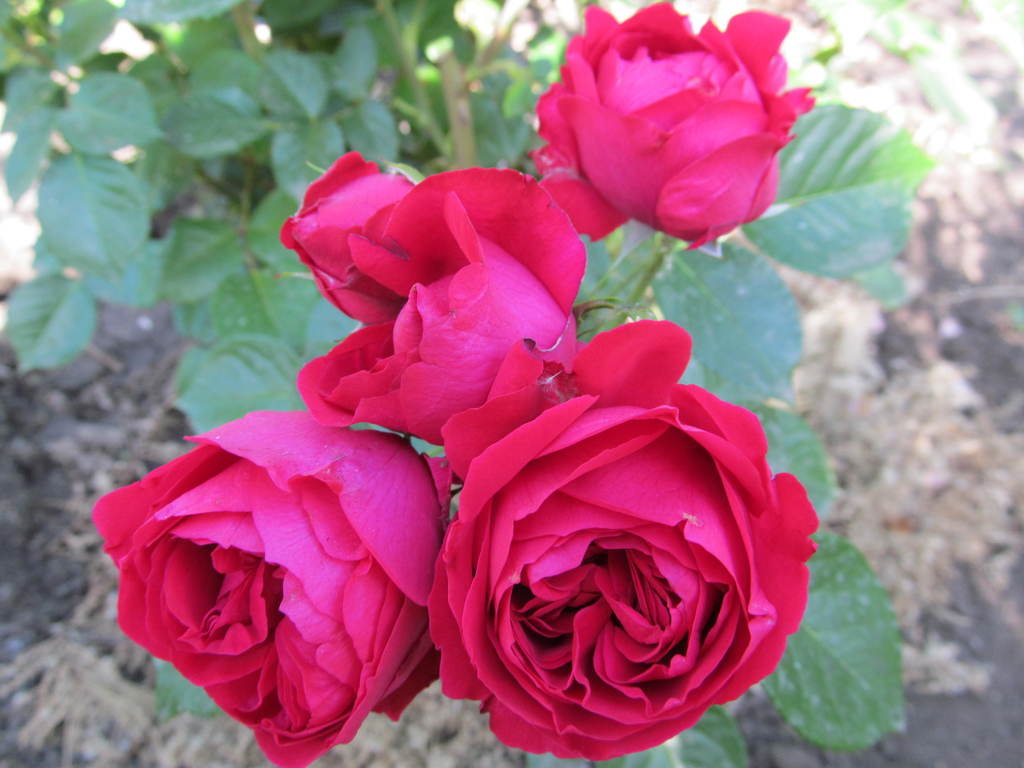 019