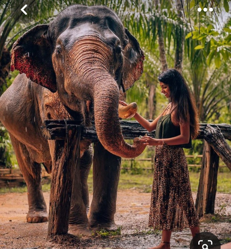 Screenshot_20230611_224111_Pinterest