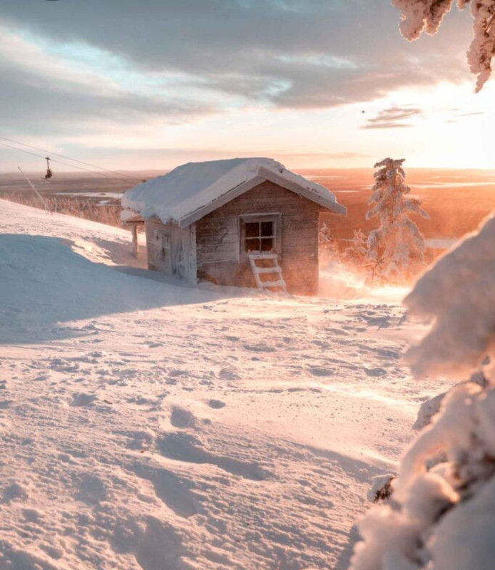 Screenshot_20230327_233321_Pinterest