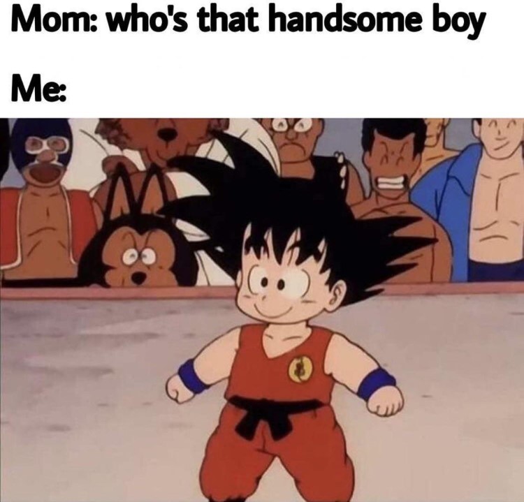 001-dragon-ball-z-whos-handsome-meme.jpg