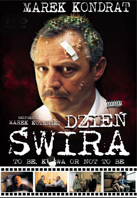Dzień Świra (2002) PL.DVDRip.XviD-AC3-NINE / Film Polski