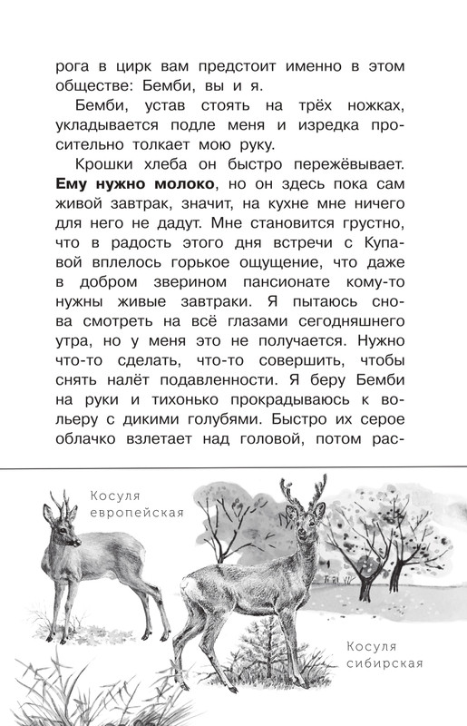 Durova-Natalija-Moj-dom-na-kolosah-page-0019