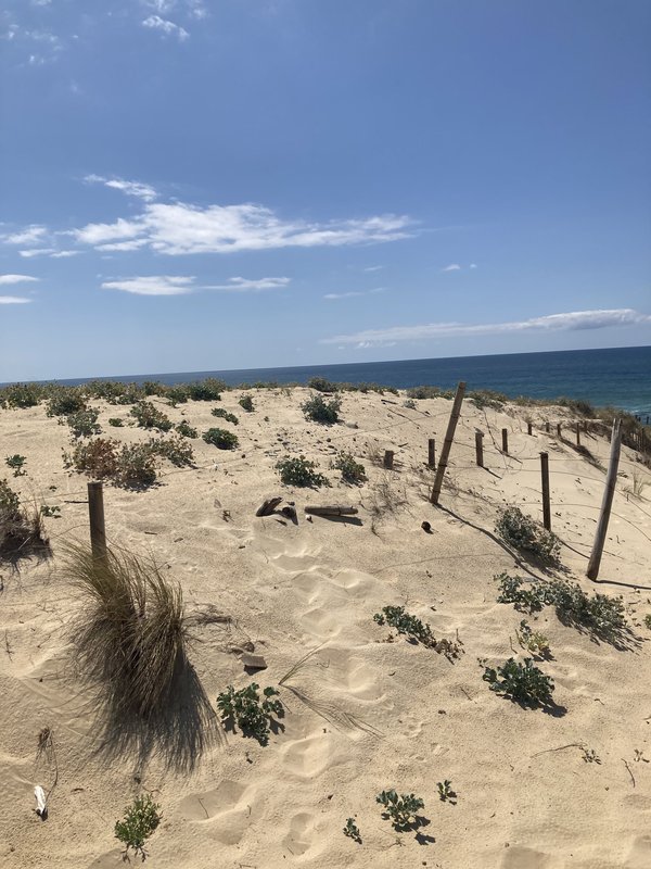 [Image: IMG-2460.jpg]