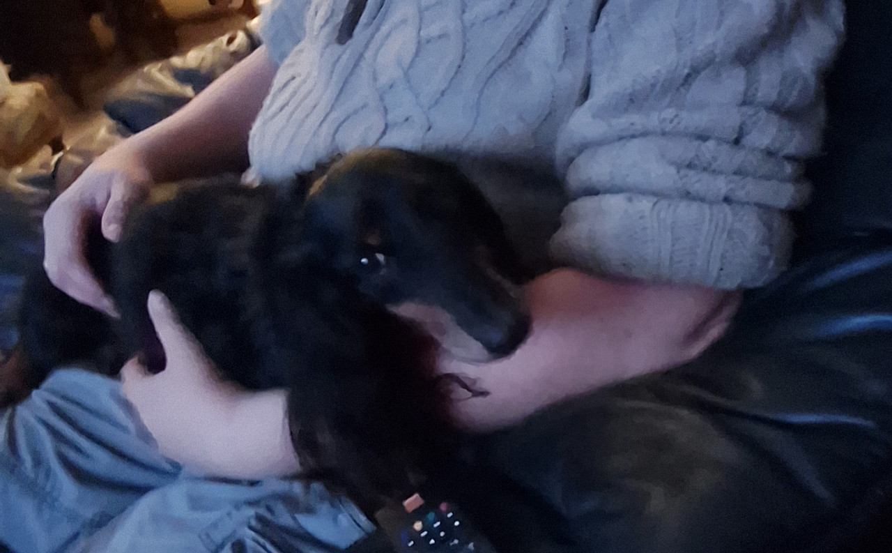 [Image: 20250107-193930.jpg]