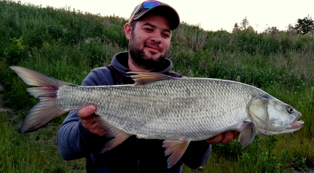 IMG_20180521_204256 x