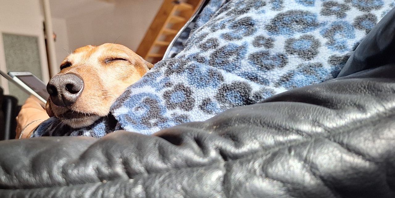 [Image: 20251002-141739.jpg]