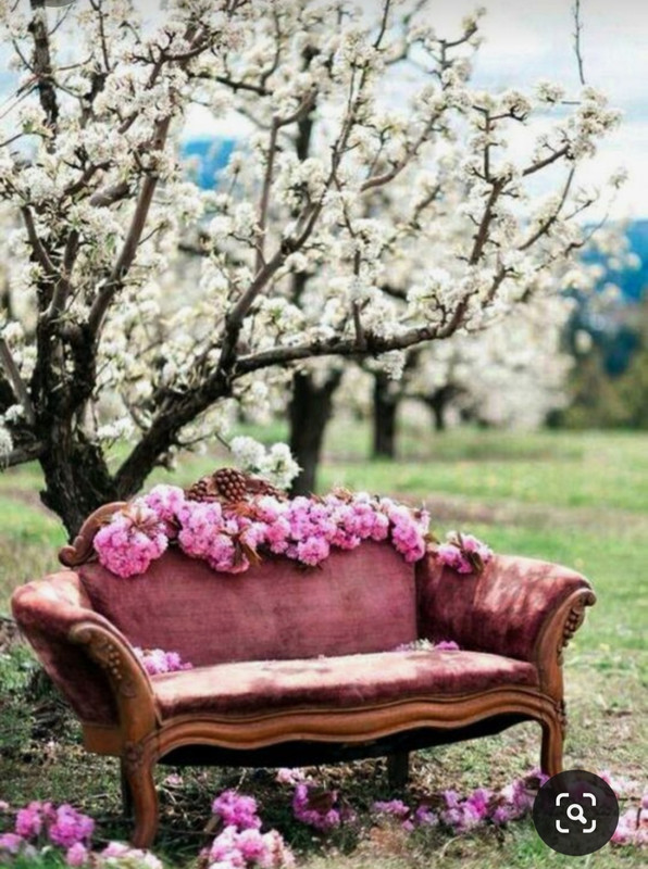 Screenshot_20240209_212453_Pinterest