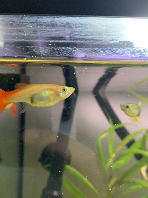 AE09A68E-7F80-40E4-801E-73E15F5F3F68