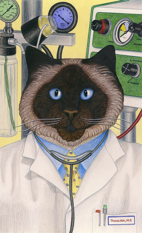 34-doctor-cat-carol-wilson