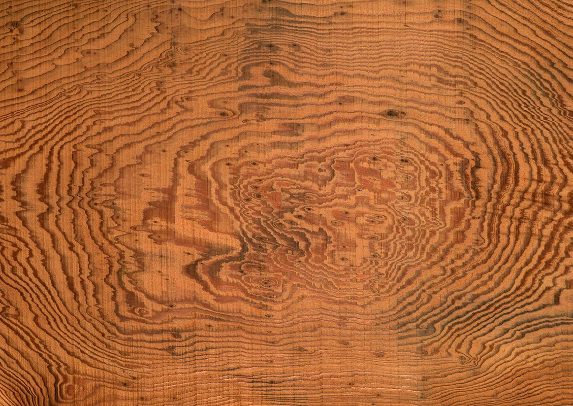 wood-texture-3dsmax (475)