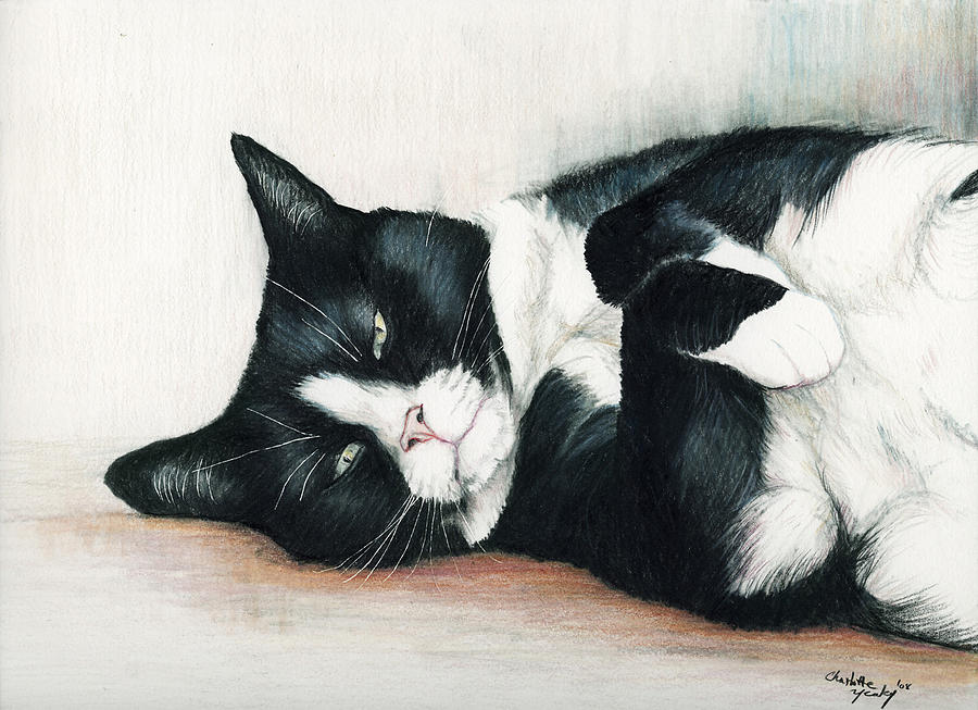 8-relaxed-tuxedo-charlotte-yealey