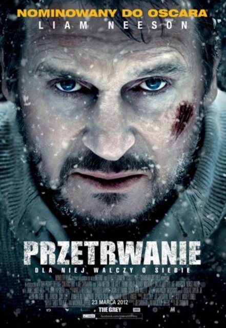 Przetrwanie / The Grey (2012) BRRip.XviD-BiDA / Lektor PL