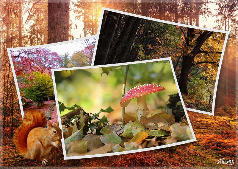 herfsttaferelen