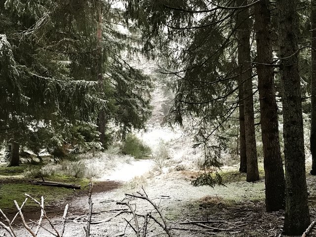 [Image: 179125-F3-1-F97-498-A-B852-D88-C77101-BD8.jpg]