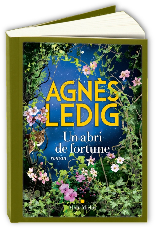Un-abri-de-fortune-Agn-s-Ledig.jpg