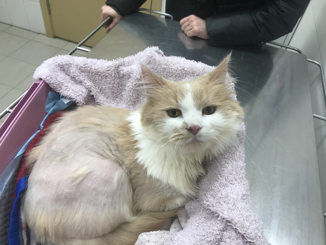 9158D514-7158-47E0-A9DA-9E45FAEF0479