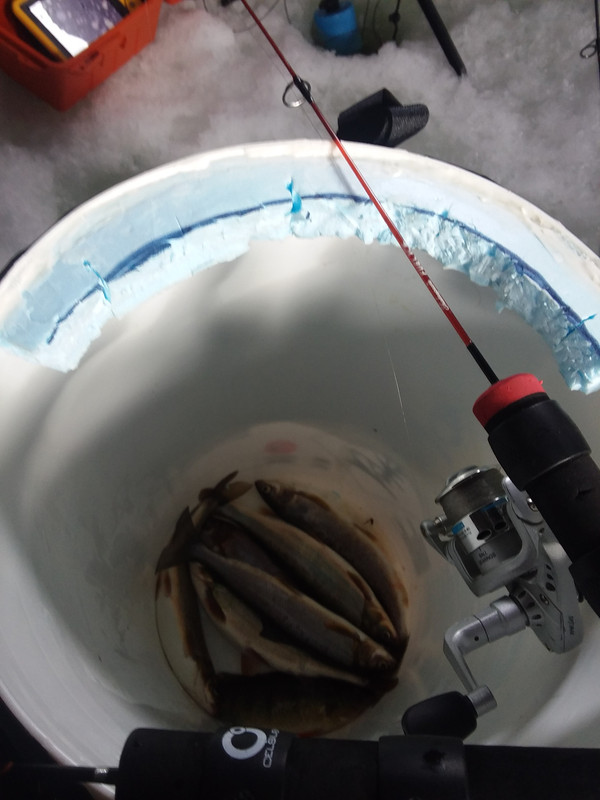 20190217_104024